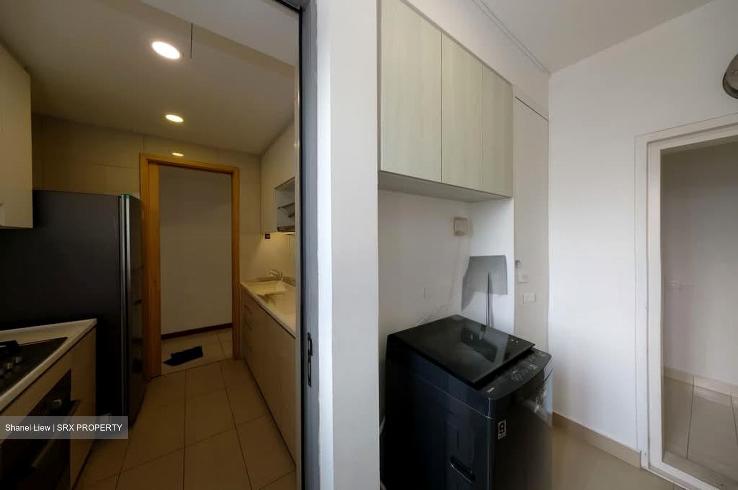 A Treasure Trove (D19), Condominium #574933951